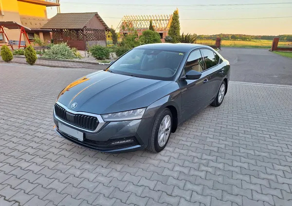 samochody osobowe Skoda Octavia cena 77700 przebieg: 76700, rok produkcji 2020 z Opoczno